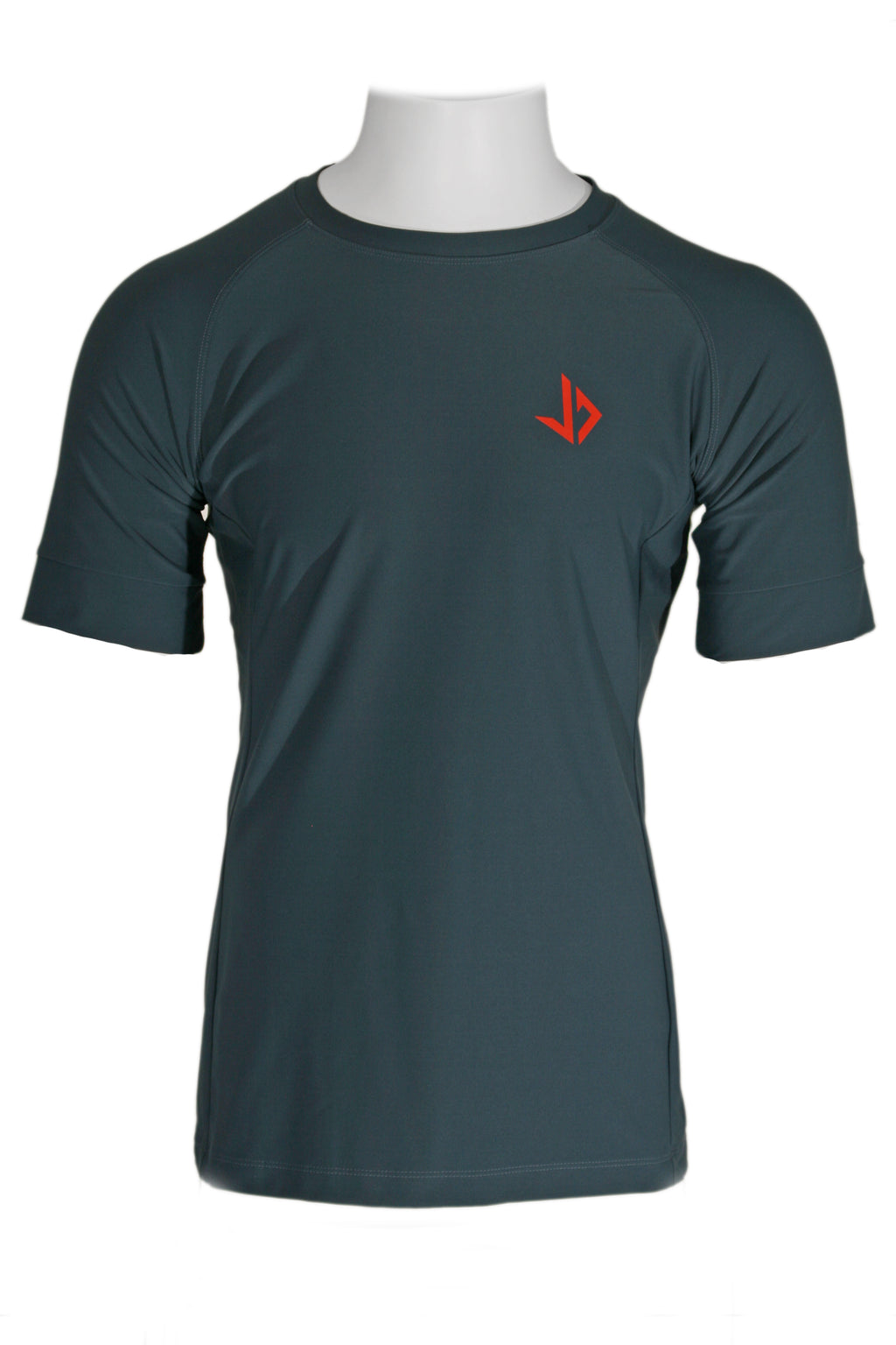 SPORT T-SHIRT MALE - BLUE BASED GREY